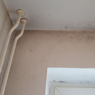 10634 Feuchtigkeit 002