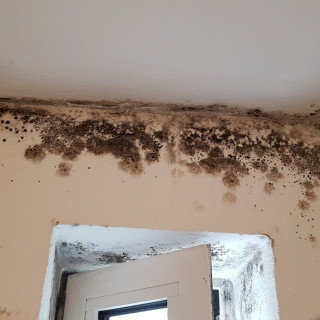 10628 Feuchteschaden 006