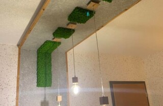 Zeigt ein abgesetztes Element mit Wema-Wanddesign und Mooselement, ein Beispiel von 150 Designs.