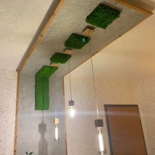 Zeigt ein abgesetztes Element mit Wema-Wanddesign und Mooselement, ein Beispiel von 150 Designs.