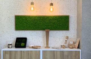 Zeigt ein Flur mit Wema-Wanddesign inkl. Zirbe und Mooselement, ein Beispiel von 150 Designs.