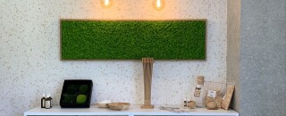 Flurbereich mit Wema-Wanddesign inkl. Zirbeanteil und einem Mooselement gestaltet, Putz aus Baumwolle, Wohngesundheit mit vielen Vorteilen.